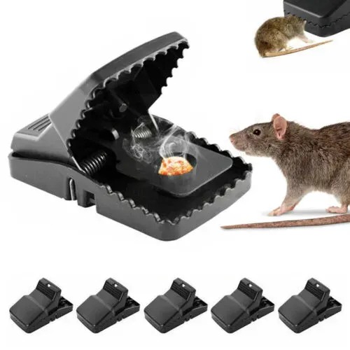 Mouse/Rat Trap For House And Office 1pcs - 5
